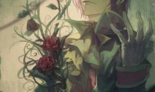 怪物大师动画片全集